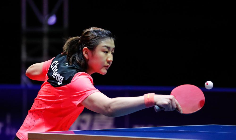 回比利时的 回比利时的